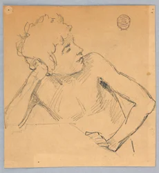 Estudio de figura