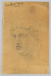 Boceto de la cabeza de un joven