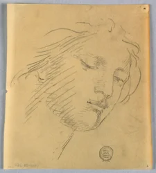 Boceto de la cara de una mujer