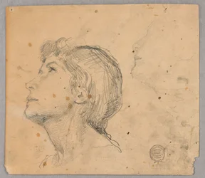 Boceto de la cabeza de una mujer