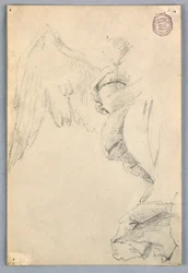 Boceto con Alas y Drapería
