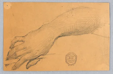 Estudio de Mano y Muñeca