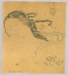 Estudio del cabello de una mujer