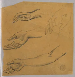 Tres estudios de una mano y un brazo