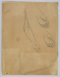 Tres estudios de una mano izquierda