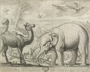 África, 1672