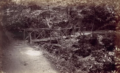 Colwyn Bay. Puente rústico en el bosque, 1870s