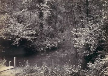 Colwyn Bay. La Piscina en el Bosque, 1870s