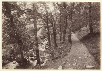 Dolgelley, Vista en el Paseo del Torrente