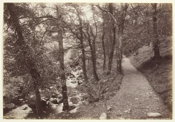 Dolgelley, Vista en Torrent Walk, 1860-94