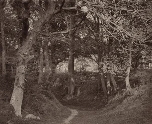 Glen Kenilworth,c. 1868 (foto)
