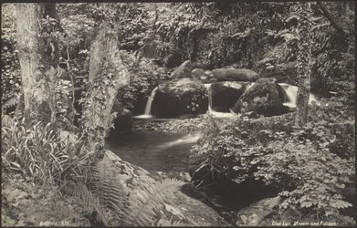 Glen Lyn, arroyo y follaje