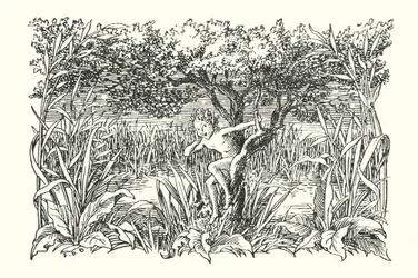 Merrie England: Robin Goodfellow (litografía)