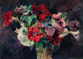 Petunias, c. 1869-1906, 1906