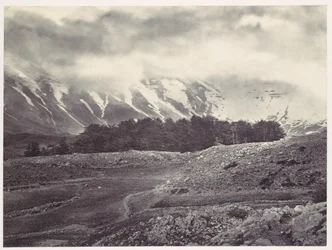 Vista lejana de los cedros del Líbano