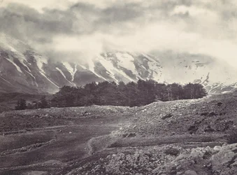 Vista distante de los cedros del Líbano, ca. 1857