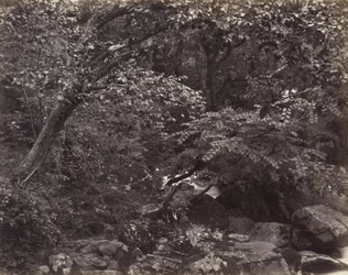 Valle en Lynmouth, 1860s