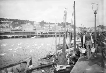 Puerto y muelle de pescado de Newlyn, Cornualles