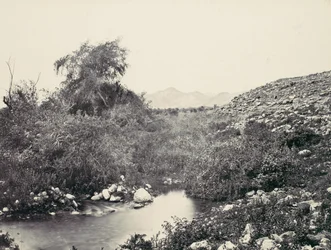 La fuente de Jericó y probable sitio de la ciudad, ca. 1857