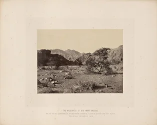 El desierto del pecado (Wady Shellal)