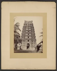 Trickaleecoondrum, La Pagoda, Porte E