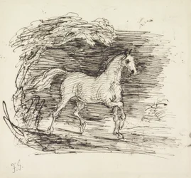 Un caballo gris trotando fuera de un bosque