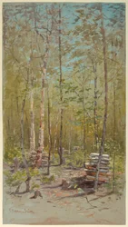 Árboles de abedul