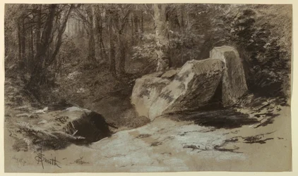 Rocas en el bosque