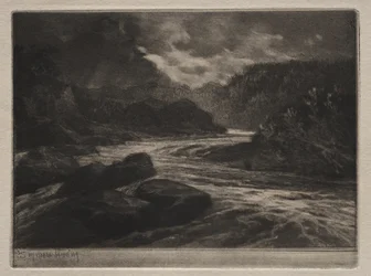 Un río de salmones