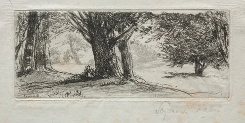 Campo de acebos