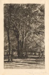 Jardines de Kensington, No. 2 Placa Grande, 1860
