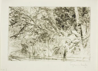 Boca de un arroyo, No. II