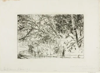 Boca de un arroyo, No. II