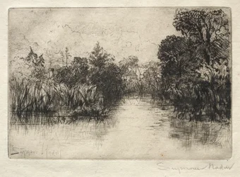 Estanque de Shere Mill (Un pequeño estudio)