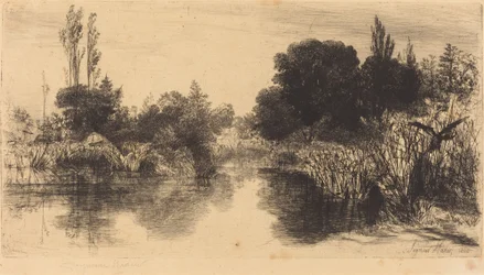 Shere Mill Pond