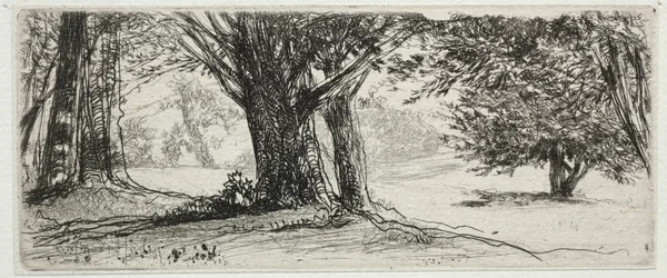 El campo de acebos