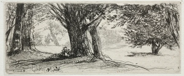 El Campo de Acebos