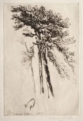 El último árbol, 1882