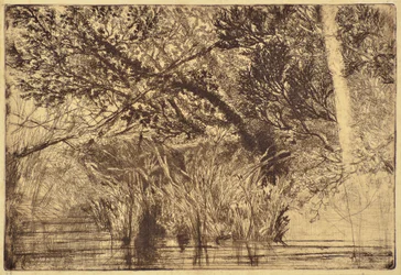 La boca de un arroyo No.1