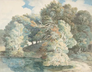 Árboles junto al lago, Peamore Park, cerca de Exeter, Devon