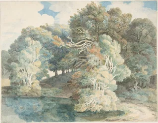 Árboles junto al lago, Peamore Park, cerca de Exeter, Devon