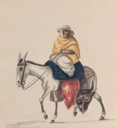 Un carnicero montando un burro, de un grupo de dibujos que representan el traje peruano, ca. 1848