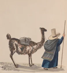 Una mujer caminando con una llama, de un grupo de dibujos que representan el traje peruano, ca. 1848