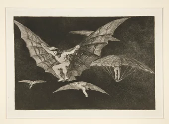 Modo de vuelo (Una forma de volar), pl. 13 de la serie Los Proverbios