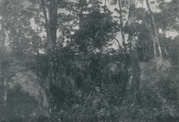 Cabañas de Indios, 1895