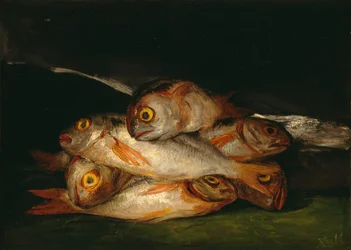 Naturaleza muerta con dorada