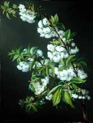 Una ramita de flor blanca