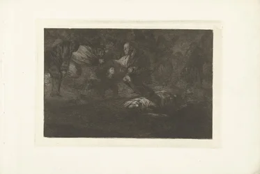 Locura funeraria Funebre dispar Los Disparates (Las locuras) (título de la serie) Los Proverbios (Los Proverbios) (título de la serie)