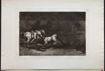 Corridas de toros: Mariano Ceballos, alias el Indio, mata al toro desde su caballo, 1876