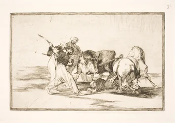 Los moros que se establecieron en España y abandonaron la superstición del Corán adoptaron este arte de cazar y alancear un toro en la llanura